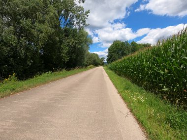 Kırsalda yol