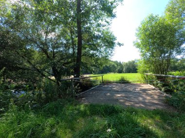 Parkın güzel manzarası