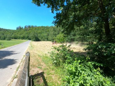 Ormanın güzel manzarası