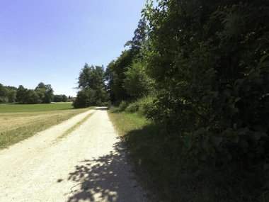 Bir yolu ve büyük bir ağacı olan güzel bir manzara.