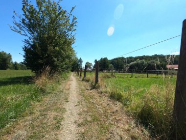 Kırsal bir yolun güzel manzarası