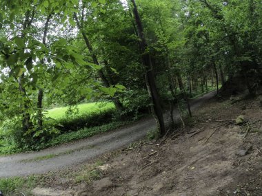 Ağaçlı ve yeşil yapraklı güzel bir manzara.