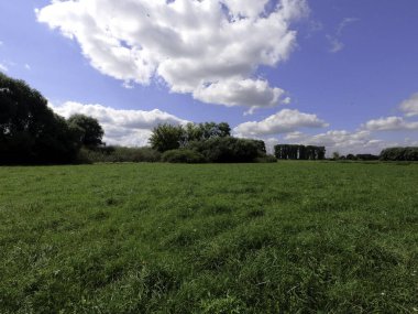 Ağaçlarla kaplı güzel bir manzara.