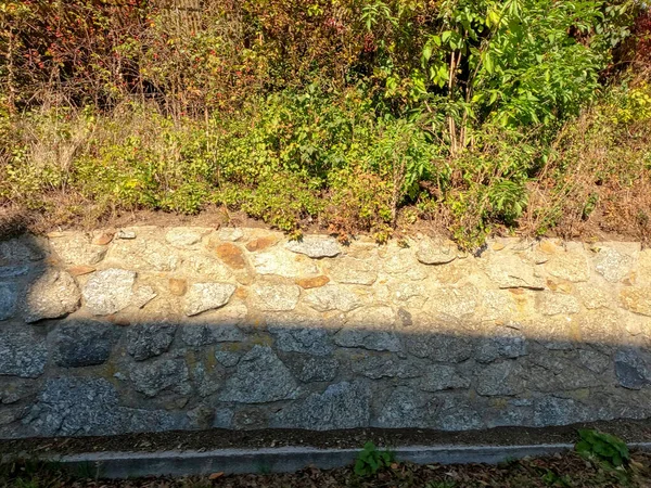 Oude Stenen Muur Met Mos Groene Bladeren — Stockfoto