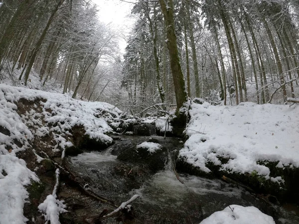 Bela Paisagem Inverno Com Árvores Cobertas Neve — Fotografia de Stock