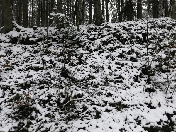 Beau Paysage Hivernal Avec Des Arbres Enneigés — Photo