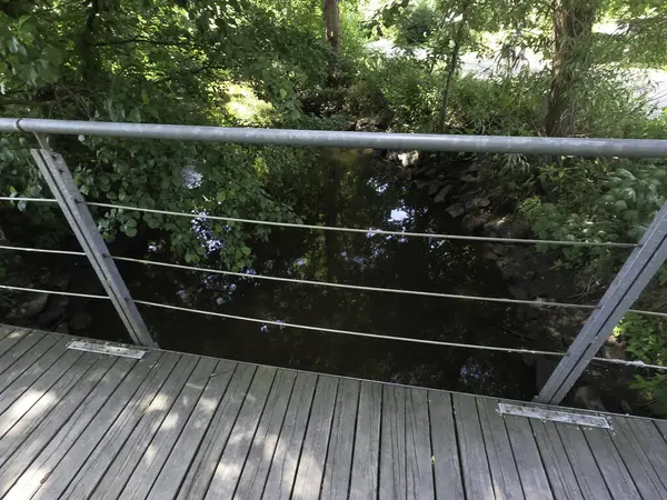 Ormanda ahşap köprü