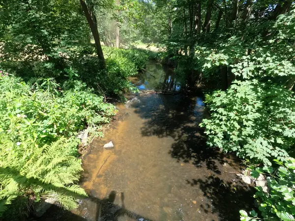 Hermosa Vista Del Río Bosque —  Fotos de Stock