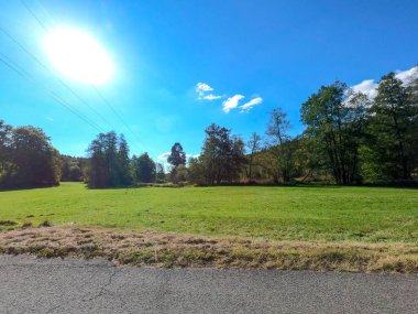 Güzel bir manzara Ağacı ve mavi gökyüzü