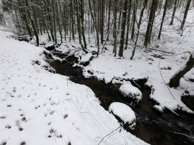 Karla kaplı ağaçları olan güzel bir manzara.