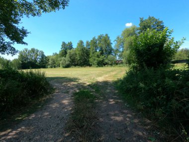 Ağaçları ve yeşil otları olan güzel bir manzara.