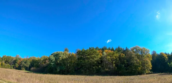 Autumn Landscape Trees Blue Sky — Stock Photo, Image