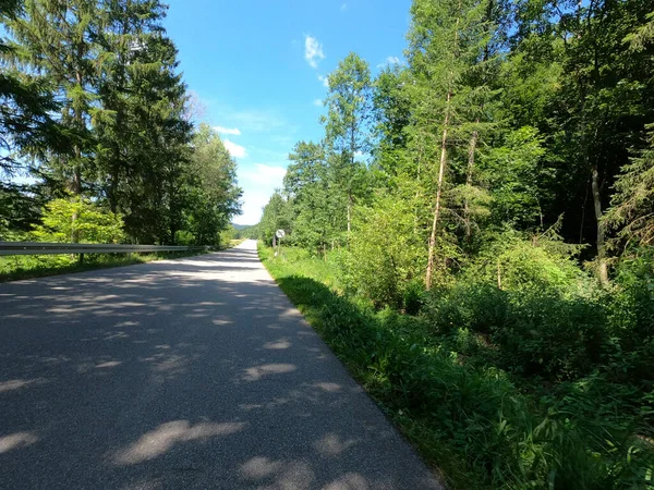 Schöne Aussicht Auf Den Park — Stockfoto