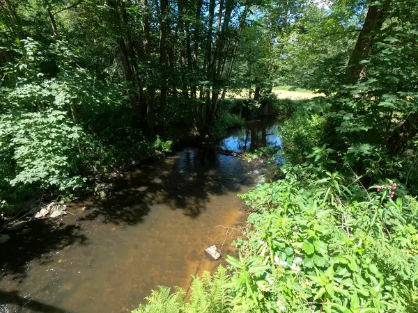 Hermosa Vista Del Río Bosque — Foto de Stock