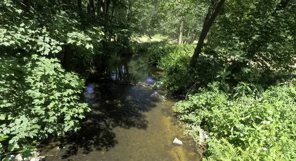 Hermosa Vista Del Río Bosque —  Fotos de Stock