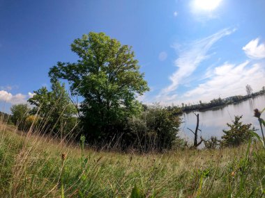 Nehir ve gölü olan güzel bir manzara.