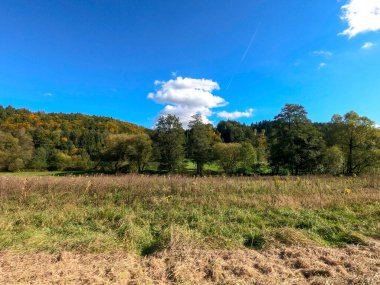 Güzel bir manzara Ağacı ve mavi gökyüzü