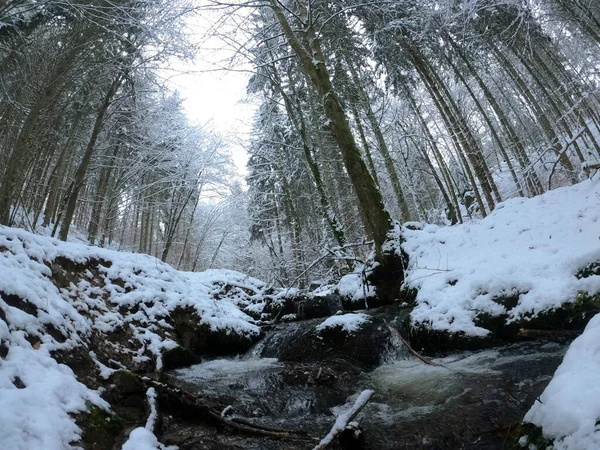 Beau Paysage Hivernal Avec Des Arbres Enneigés — Photo