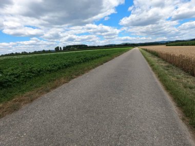 Kırsalda yol
