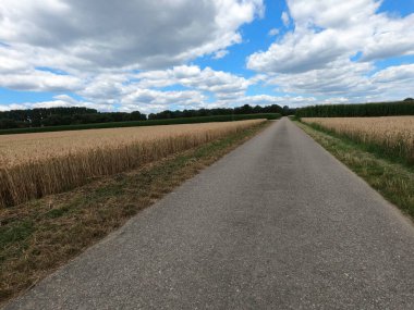 Ülkenin kırsal kesiminde asfalt yol