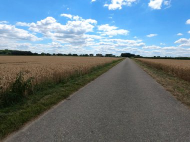 Kırsalda yol