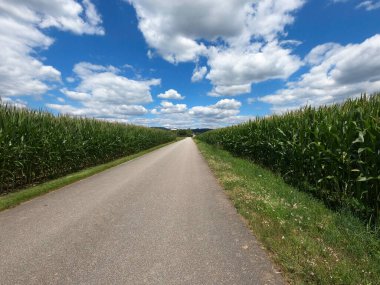 yol ve baharın yeşil tarlaları mavi gökyüzü, bulutlar ve ağaçlarla