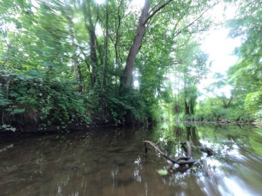 Ormandaki nehrin güzel manzarası