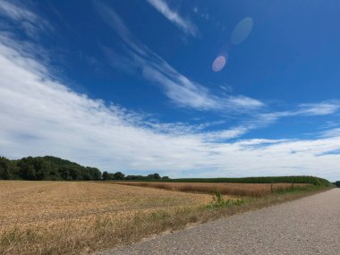 Buğday tarlası ve mavi gökyüzü olan güzel bir manzara.
