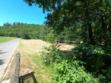 Parkın güzel manzarası