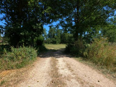 Parkın güzel manzarası