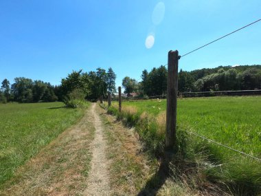 Bir yolu ve tarlası olan güzel bir manzara.
