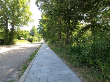 Şehirdeki yeşil park