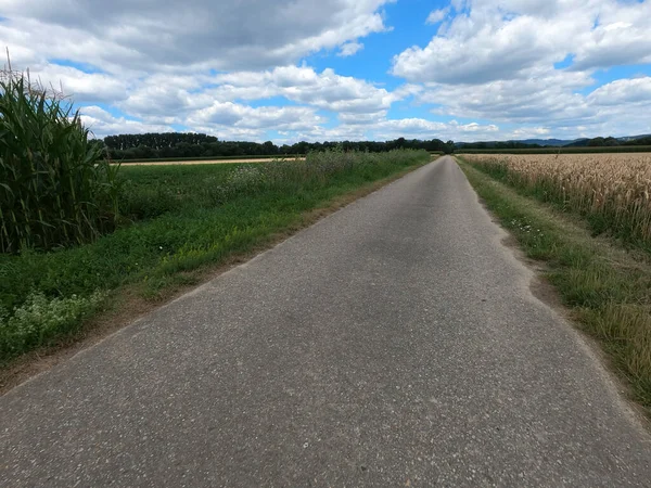 Asphalt Road Green Grass Clouds Sunny Day — Φωτογραφία Αρχείου