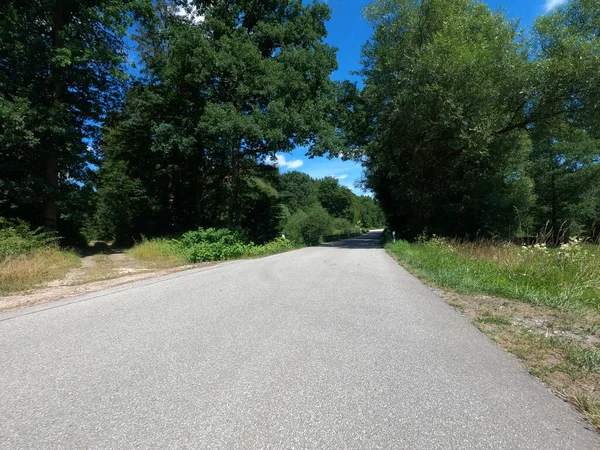 Straße Wald — Stockfoto