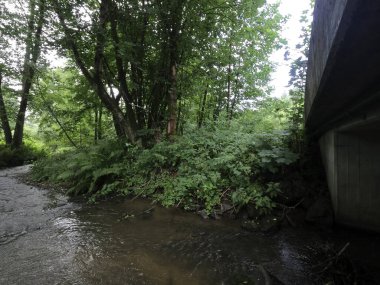 Şelalesi olan güzel bir manzara