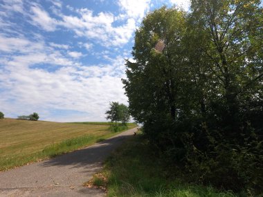 Ağacı ve geniş yolu olan güzel bir manzara.