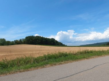 Kırsalda yolu olan güzel bir manzara.