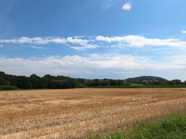 小麦の畑が広がる美しい風景 — ストック写真