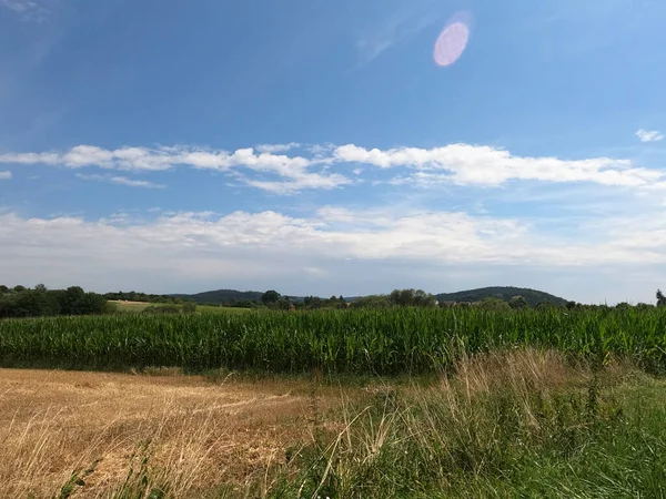 木々や青空が広がる美しい風景 — ストック写真