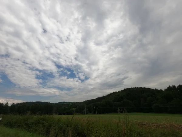 Vackert Landskap Med Ett Fält Grönt Gräs Och Molnig Himmel — Stockfoto