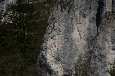 Dağların güzel manzarası