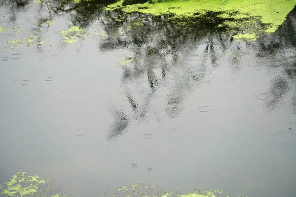 Абстрактний Фон Краплями Води — стокове фото