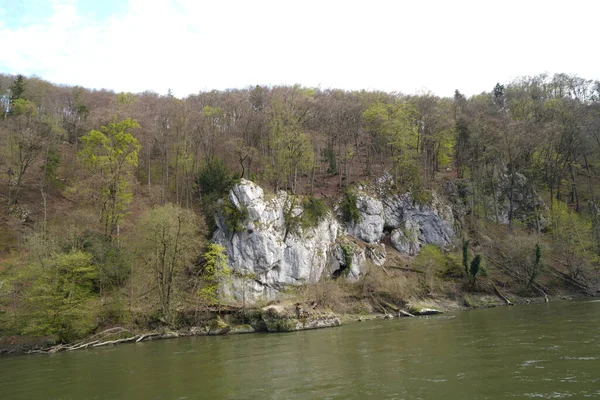 Bella Vista Sul Fiume Nella Foresta — Foto Stock