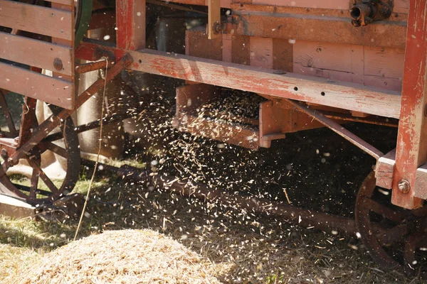 Közelkép Egy Fából Készült Traktorról Méhecskével Egy Nagy Hátterében — Stock Fotó
