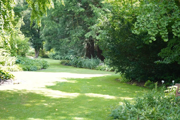 Zelený Park Létě — Stock fotografie