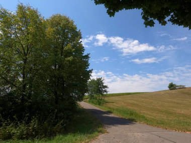 Parktaki manzara çok güzel.