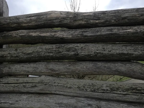 Old Wooden Stump Forest — стоковое фото