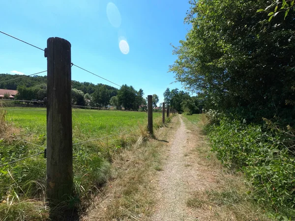 Yol, yeşil çimen ve ağaçlar