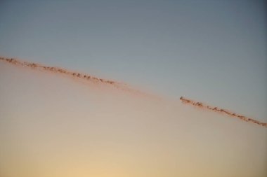 Tarla ve bahçe için uzun süren kuraklık sonrasında sulama gereklidir