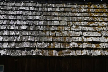 Pencereler, kapılar, çatı ve duvarlar gibi ahşap parçalar bahçeli eski bir evde